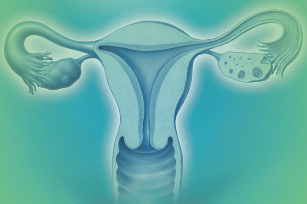 Female Reproduction (RN Shop Page Image)